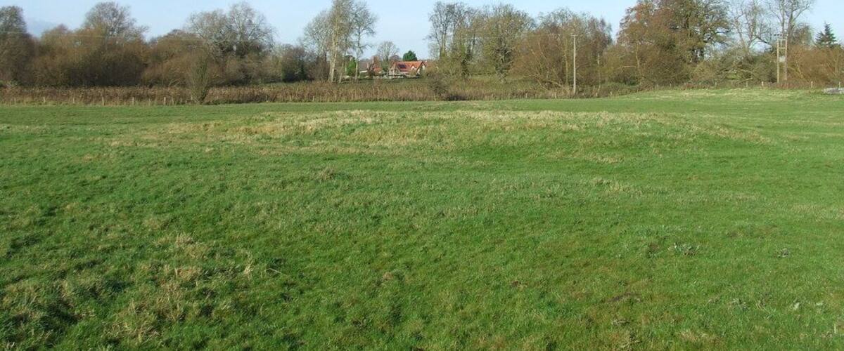A green field with a red house in the distance and trees around.
