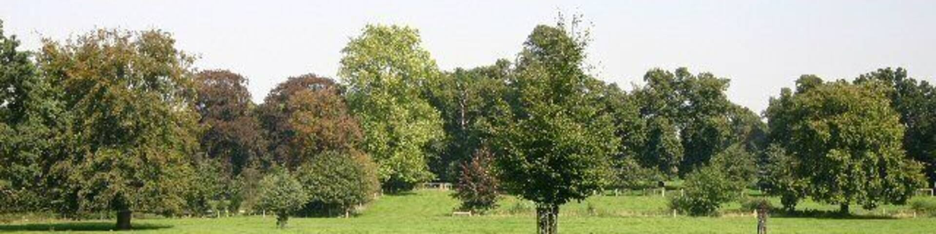Footpath to Nether Hall. The path leads north across parkland, passing just east of the Hall.