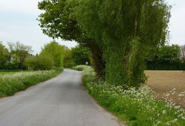 Lane approaching Thurston Looking south towards the edge of the village.