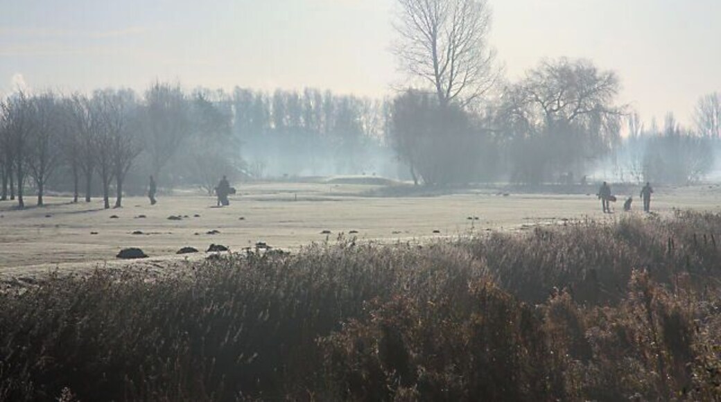 Early morning golfers. Mist, frost and the occasional mole hill are the natural hazards on the Suffolk golf course at Fornham St Genevieve. But the early morning golfers are not to be deterred.
