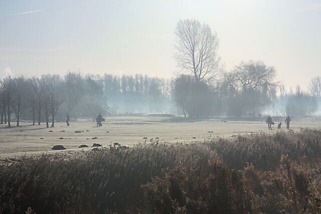 A frost-covered field with leafless trees and a clear sky.