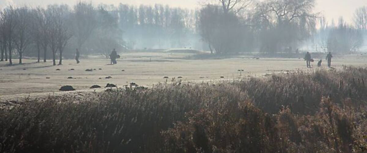 A frost-covered field with leafless trees and a clear sky.