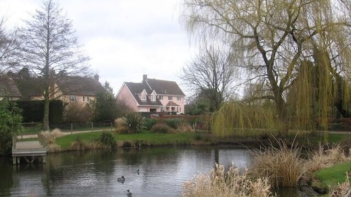 Tuddenham village pond