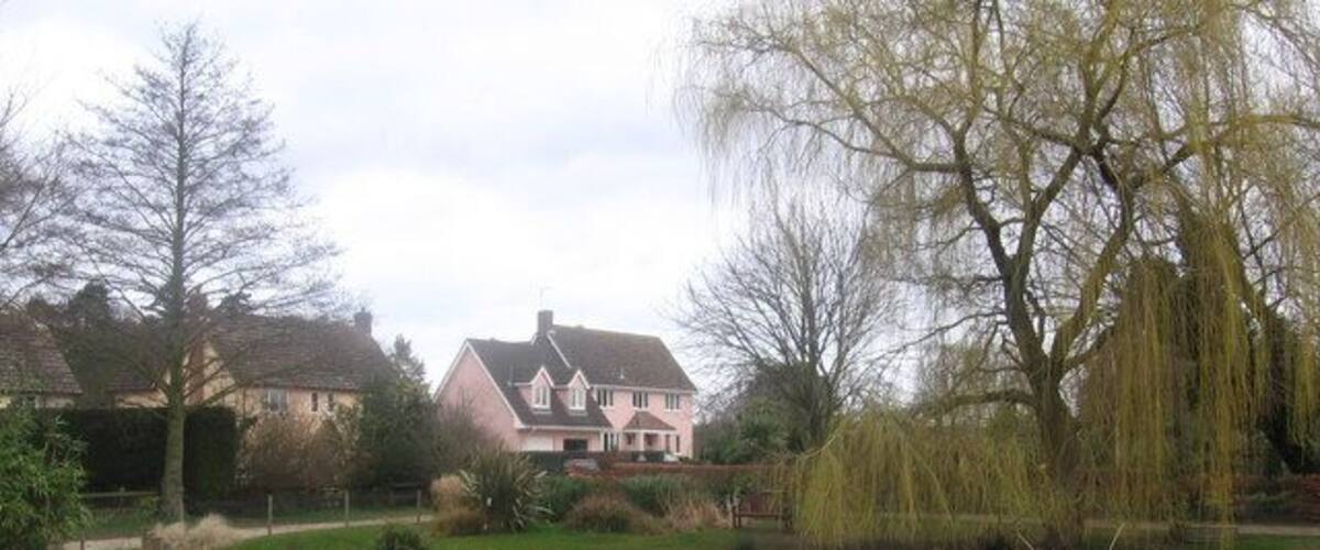 A pond with ducks, surrounded by grass, a weeping willow tree, and houses in the background.