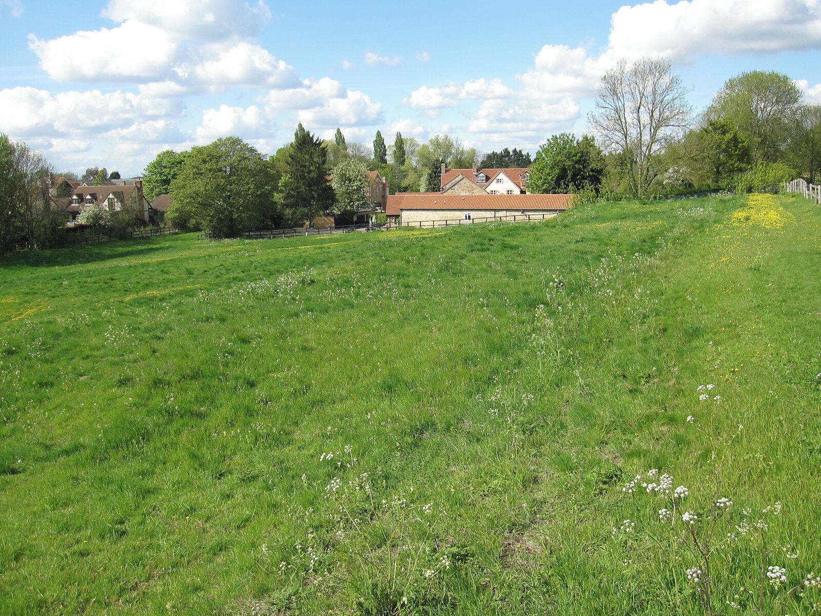 The back of the Golden Boar