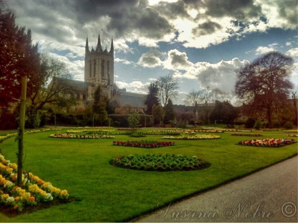 Bury St Edmunds Cathedral/Abbey.
For over 1,000 years, the site of Suffolk ’s Cathedral has been one of worship and pilgrimage. The death of Edmund, King of the East Angles, at the hands of the Danes in 869 led to the building of an abbey to house his remains. St James’s Church was built within the precincts of the Abbey, becoming a Cathedral in 1914.
#cathedral #Burystedmunds #suffolk #religion #architecture #history #buildings #gardens #Abbey #England #UnitedKingdom