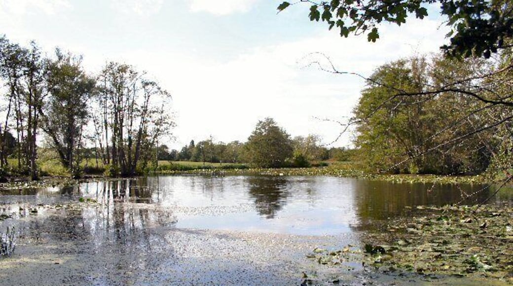 Drinkstone Park lake. Viewed from the bridge on Park Road.