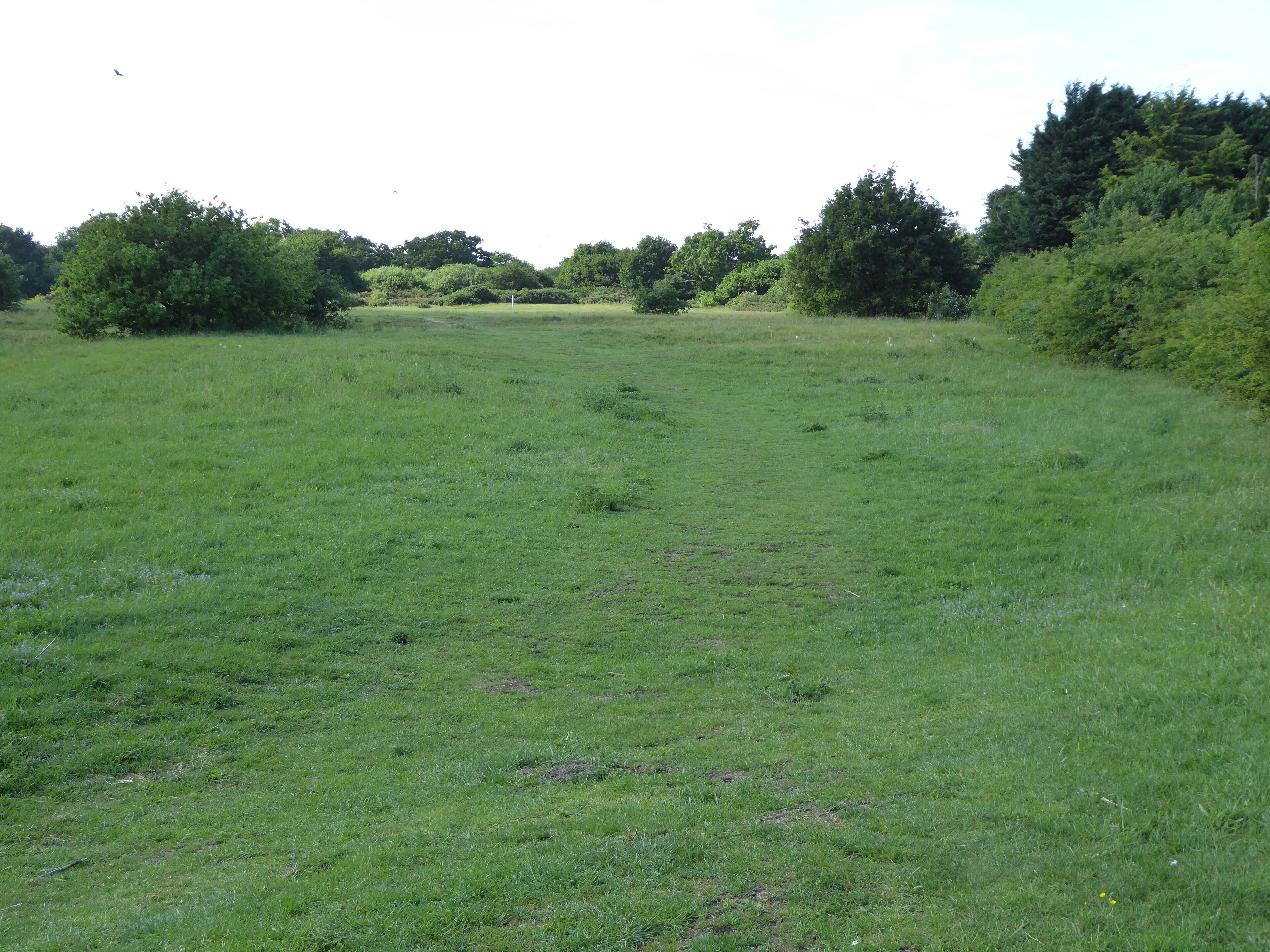 Aspal Close is a Local Nature Reserve in Beck Row in Suffolk.