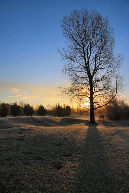 Sunrise on the golf course The Suffolk Golf Course at Fornham St Genevieve on a clear and frosty morning.