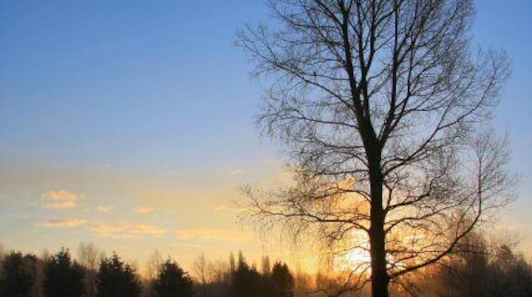 Sunrise on the golf course The Suffolk Golf Course at Fornham St Genevieve on a clear and frosty morning.