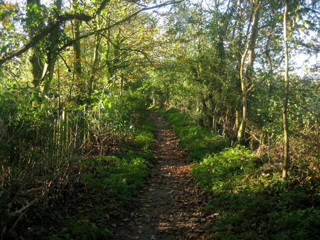 Footpath behind Cockfield church This path goes out of the back of the churchyard before turning west between woods and farmland.