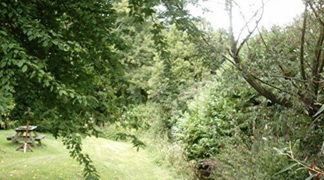 River Lark The River Lark emerges from beneath the A134 at Sicklesmere.