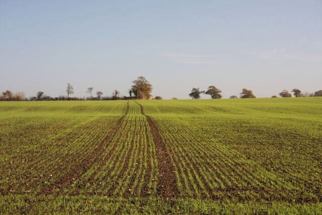 Open farmland near Badwell Ash Looking eastwards from a footpath near Badwell Ash. A crop of winter wheat has recently been sown.