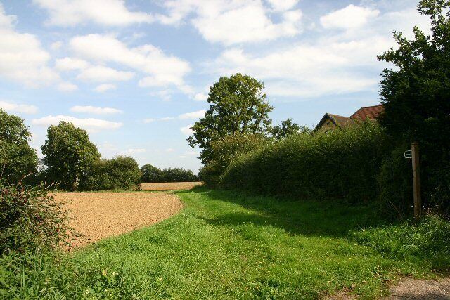 A rural landscape with a dirt path, green fields, trees, and a house in the background.