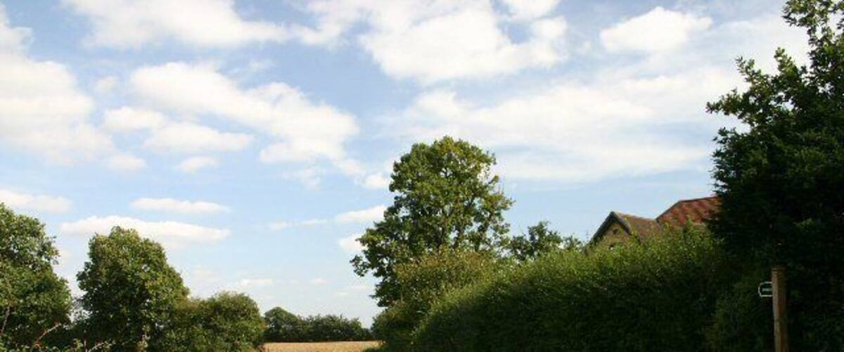 A rural landscape with a dirt path, green fields, trees, and a house in the background.