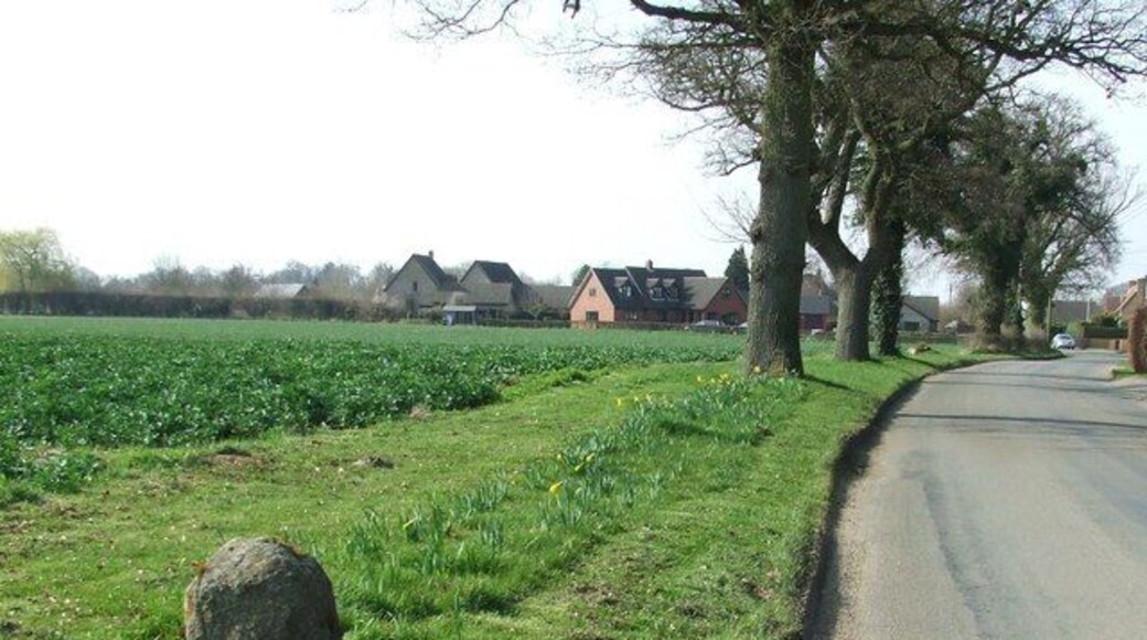 Old Milepost. Old milepost near to Borley Green, Suffolk. For close up view see 1212567 for more info on the post see http://www.milestonesweb.com/sites/tl987614.htm do look at their home page.