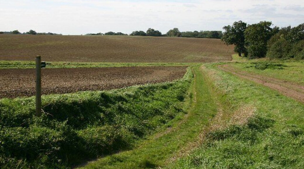 Footpath to Elmswell New Hall. Known as Parnell Lane, this path links Elmswell Hall with its newer version.