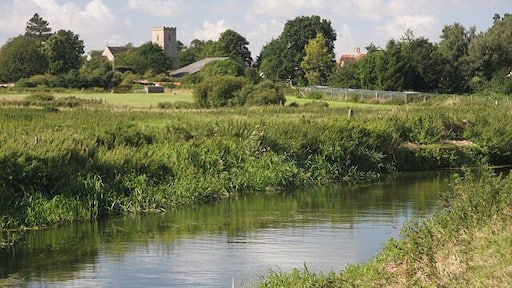 River Lark near Worlington Worlington Church, in an adjacent square, can be seen on the horizon. The River Lark flows from left to right in this photo. A footpath follows the near bank.