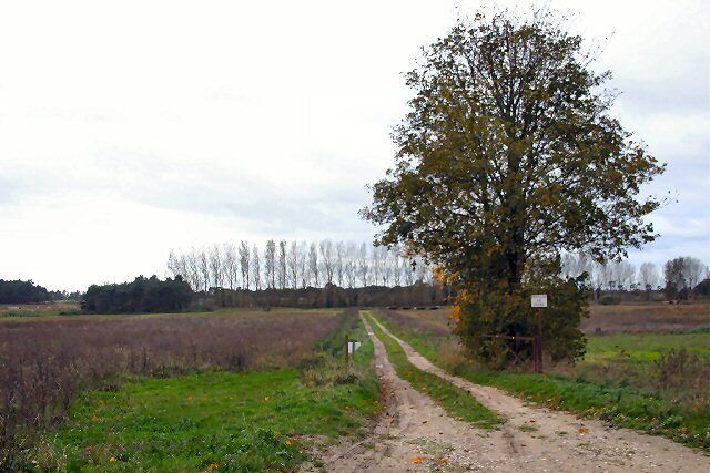Farm track near Worlington A private farm track (the sign says keep out!)