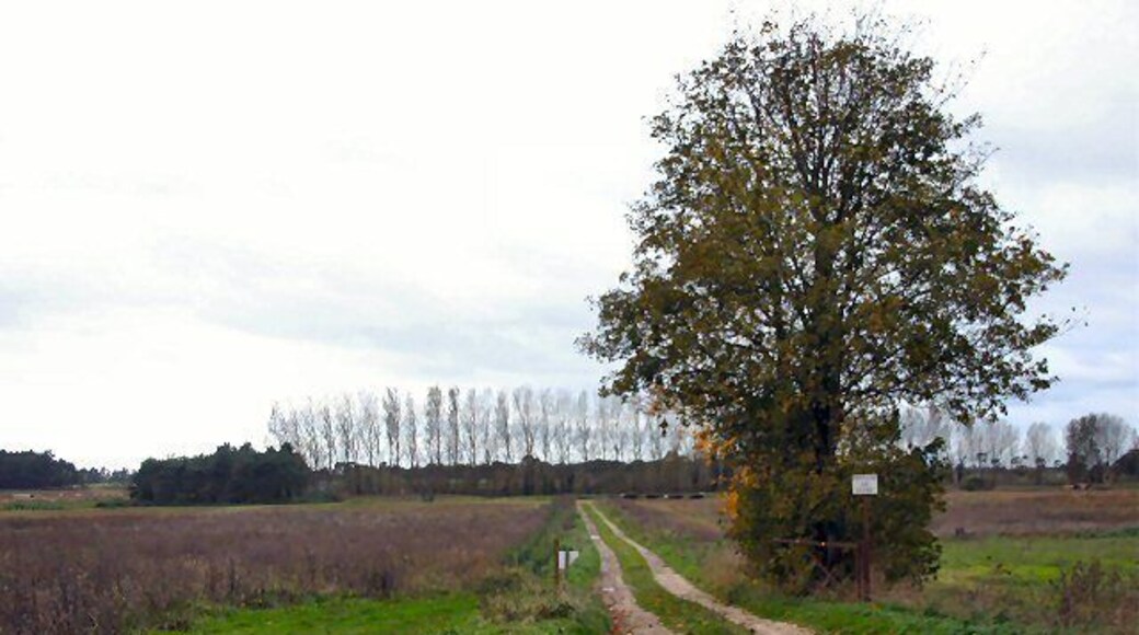 Farm track near Worlington A private farm track (the sign says keep out!)
