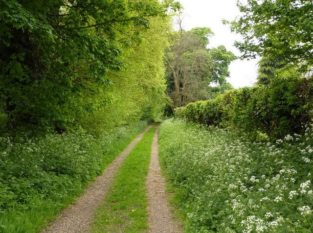 Restricted byway near Pakenham Lush spring green appropriate for the 1st of May.