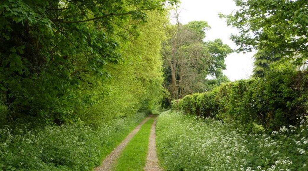 Restricted byway near Pakenham Lush spring green appropriate for the 1st of May.