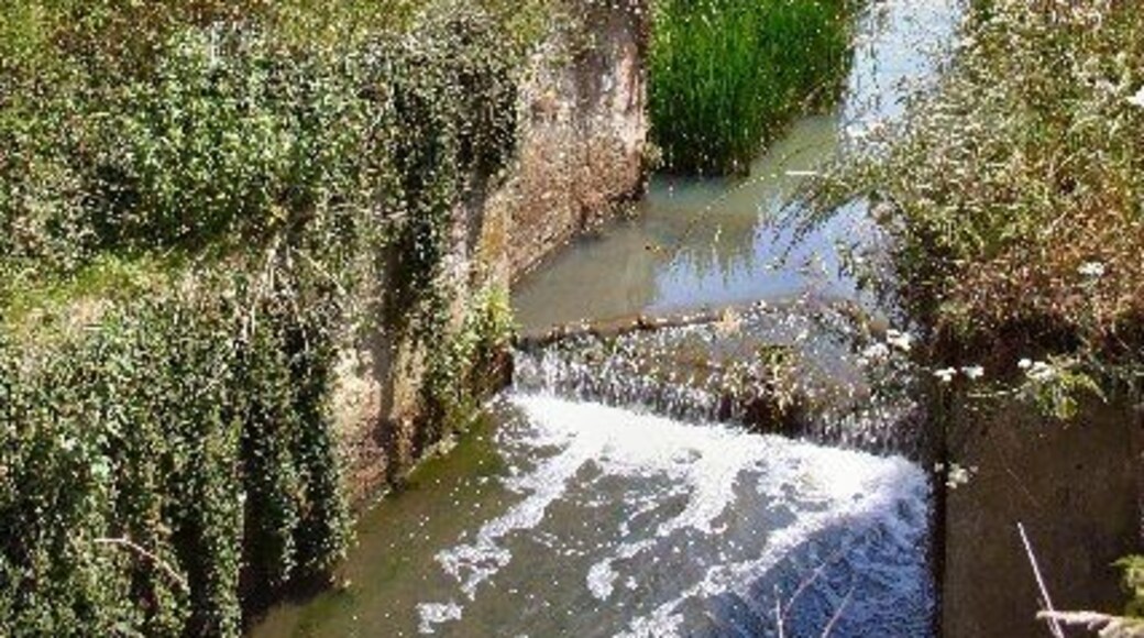 Old lock on River Lark. Site of a former lock on the River Lark at Fornham St Genevieve.
