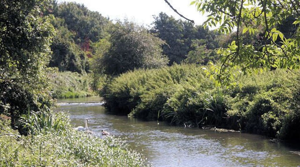 River Lark near Mildenhall Looking upstream towards a small weir.