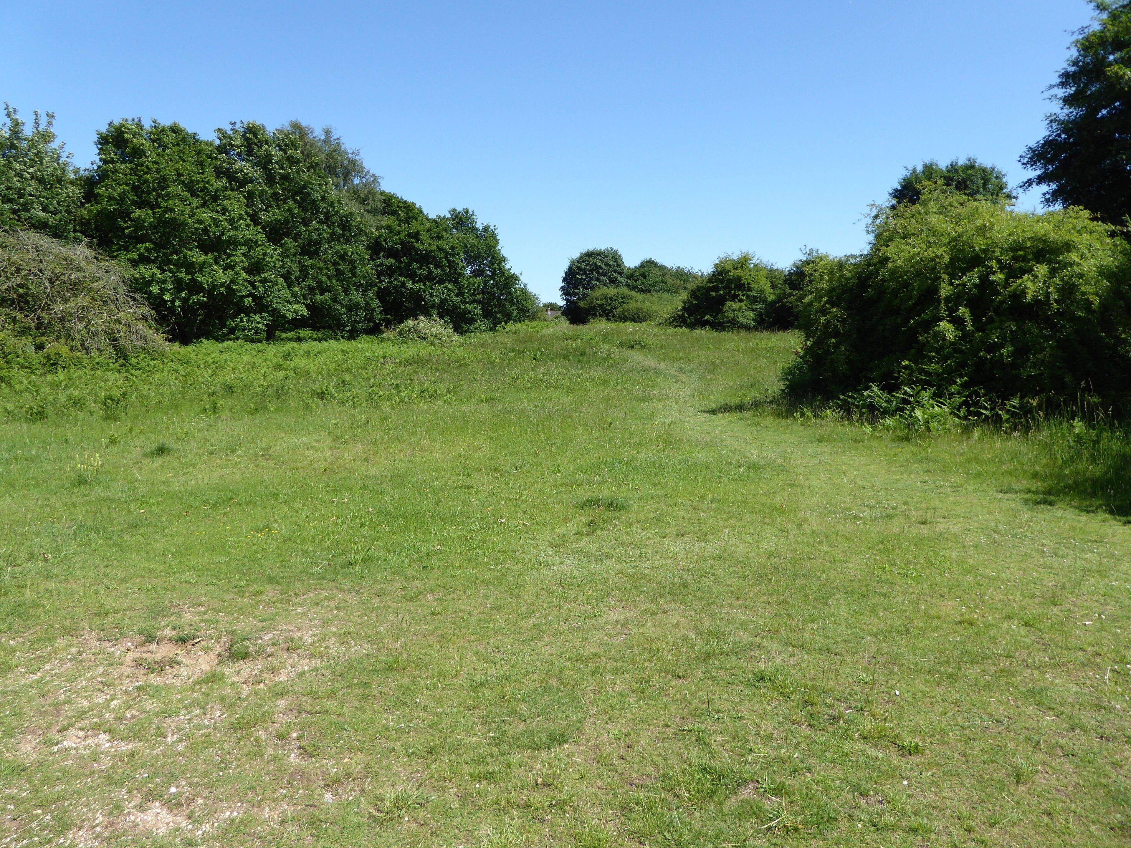 Red Lodge Heath is a biological Site of Special Scientific Interest in Red Lodge in Suffolk.