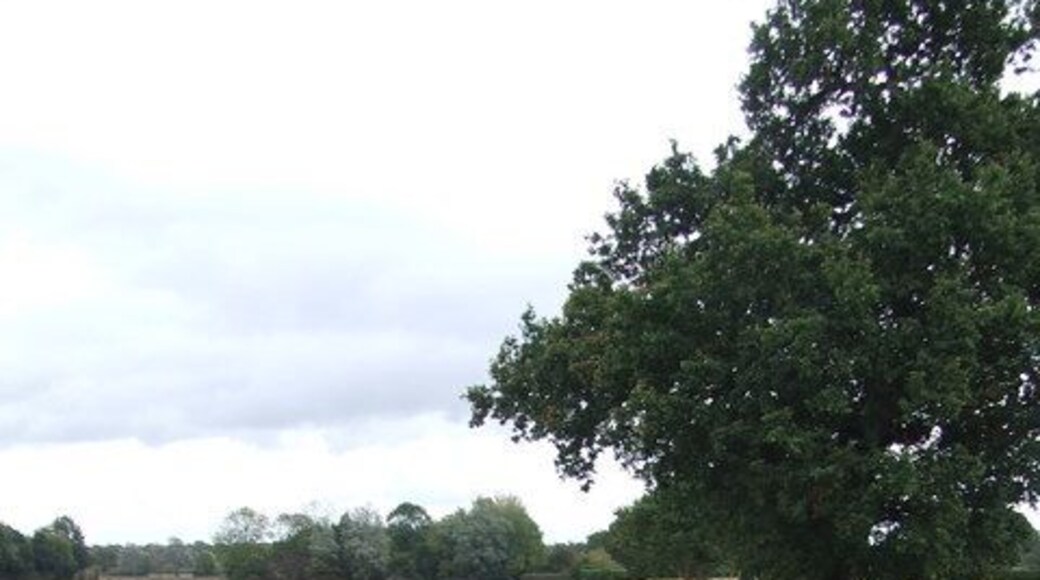 Field Boundary Looking east along the field boundary near to Bradfield St. George, Suffolk.