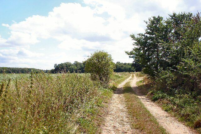 Footpath at Stowlangtoft. This path leads south towards Norton Church.