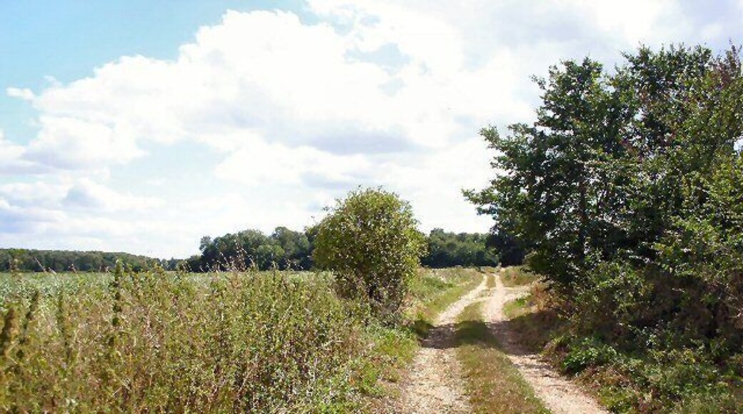 Footpath at Stowlangtoft. This path leads south towards Norton Church.