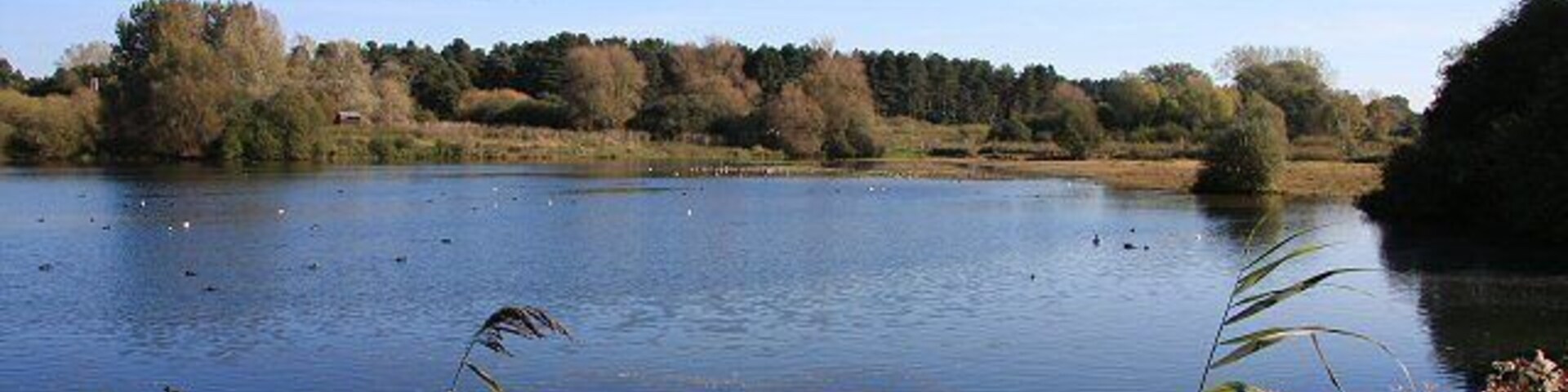 Lackford Lakes Nature Reserve Viewed from Bill Hide, one of several named bird hides on the Reserve.
