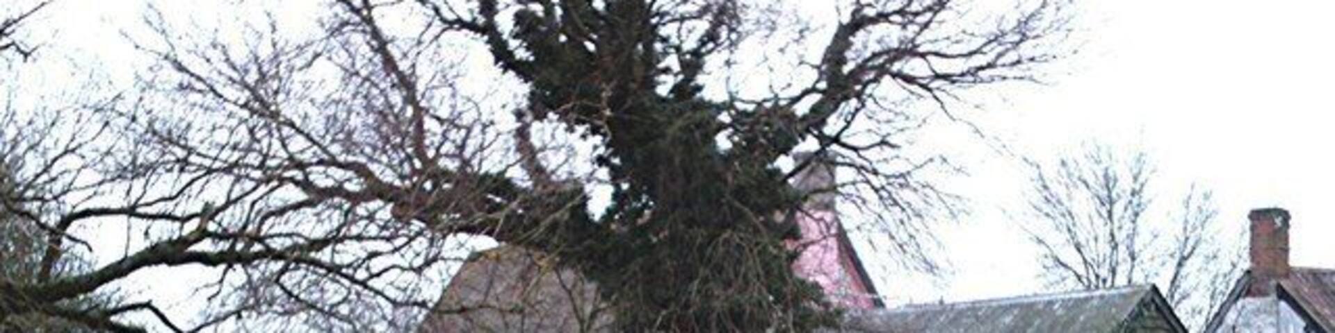 Willow Tree Farm, Brockley Green Farmhouse and duckpond in Mill Lane.