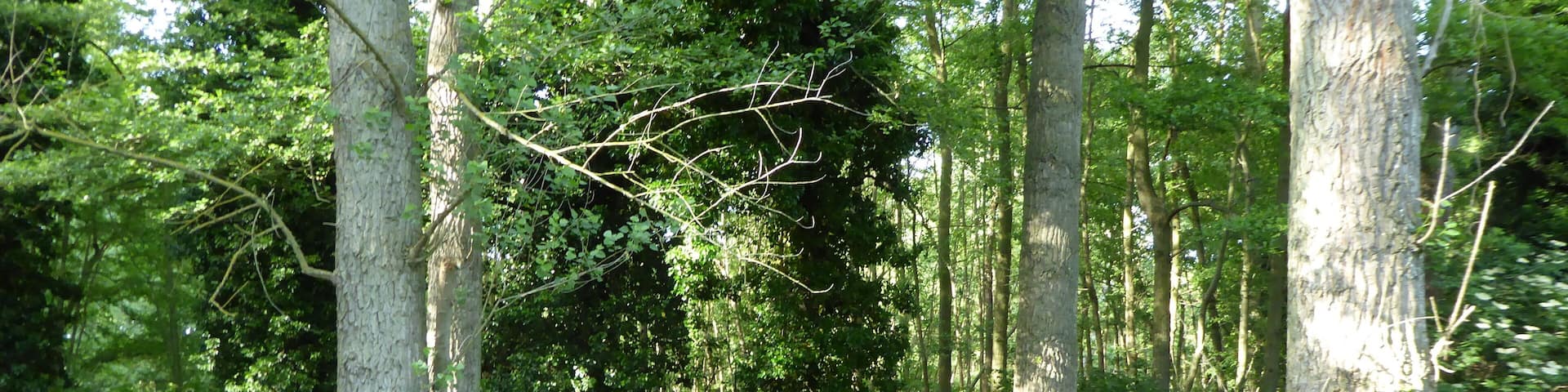 Barton Mills Valley is a Local Nature Reserve in Mildenhall in Suffolk.