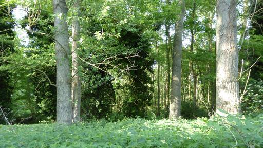 Barton Mills Valley is a Local Nature Reserve in Mildenhall in Suffolk.
