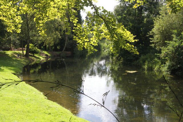 River Lark at Gravel Gardens Looking upstream from the footpath; the mown grass is the garden of a private house, known as The Gravels.