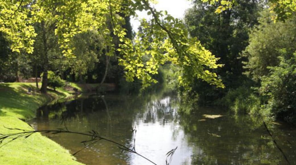 River Lark at Gravel Gardens Looking upstream from the footpath; the mown grass is the garden of a private house, known as The Gravels.