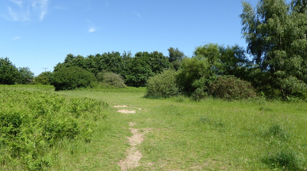 Red Lodge Heath is a biological Site of Special Scientific Interest in Red Lodge in Suffolk.