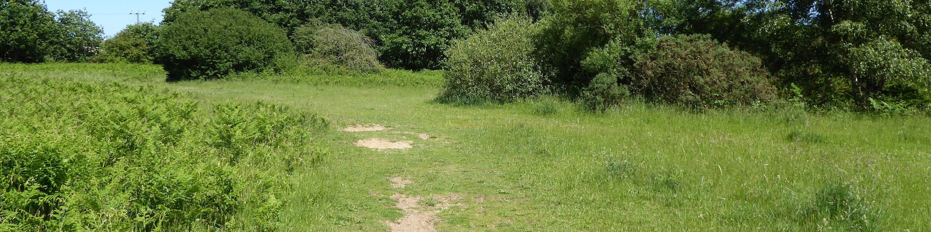 Red Lodge Heath is a biological Site of Special Scientific Interest in Red Lodge in Suffolk.