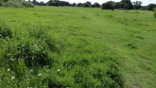 Aspal Close is a Local Nature Reserve in Beck Row in Suffolk.