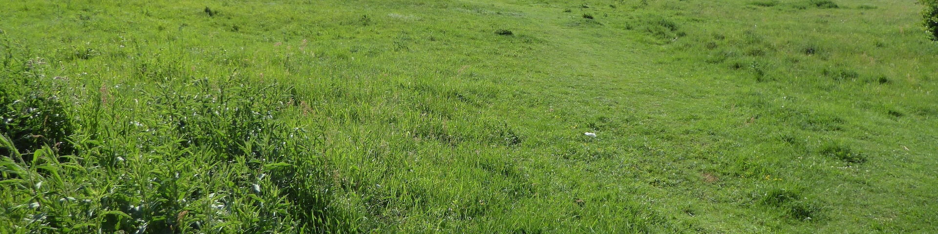 Aspal Close is a Local Nature Reserve in Beck Row in Suffolk.