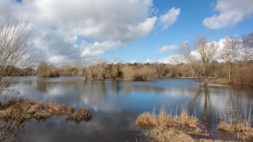 Bury St Edmunds