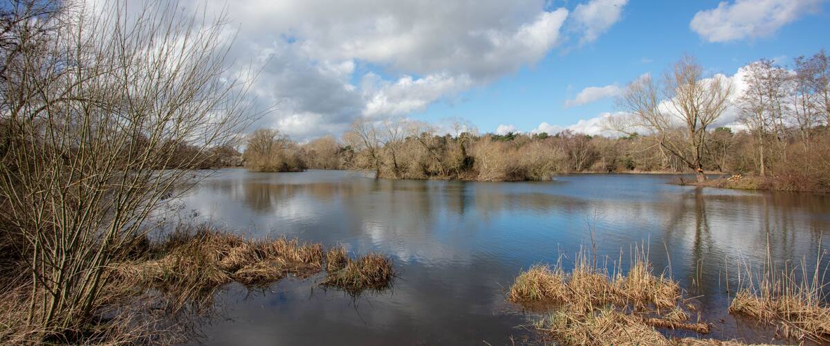 The Lake at West Stow Country park Suffolk