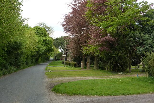 Lane towards Pakenham Three fine copper beech trees at the entrance to a bungalow.