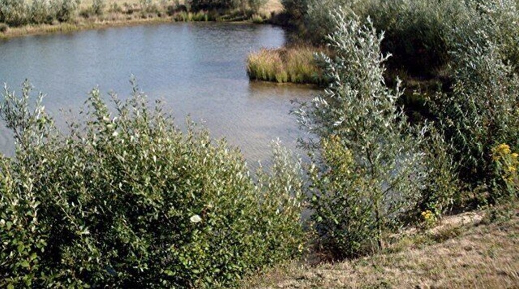Gravel Pit - Hunston Gravel pit now landscaped.