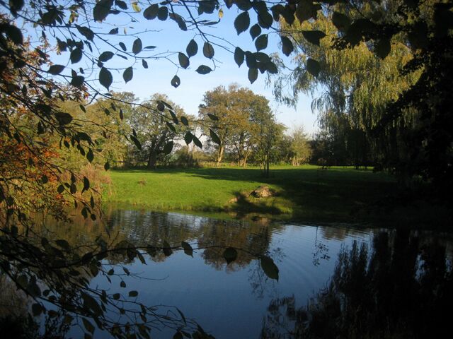 Pond behind Cockfield church A tranquil spot hidden away behind the village church