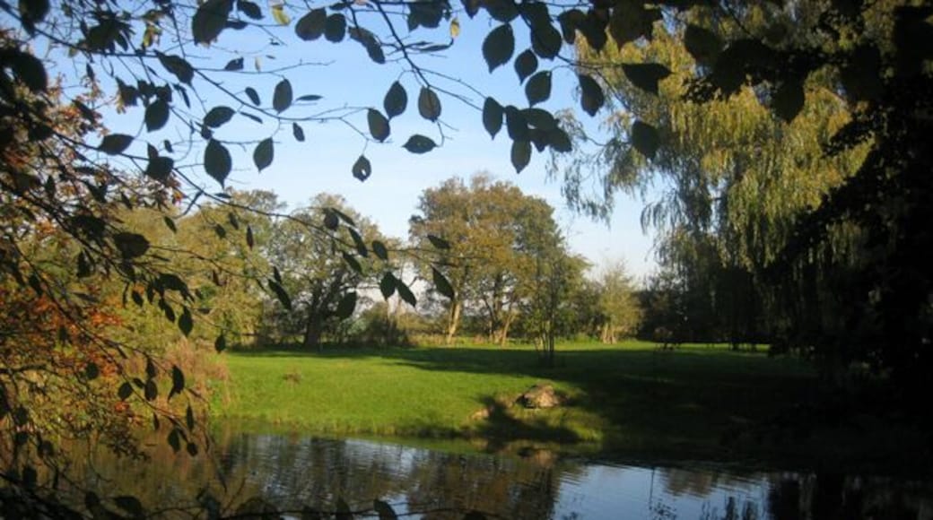 Pond behind Cockfield church A tranquil spot hidden away behind the village church