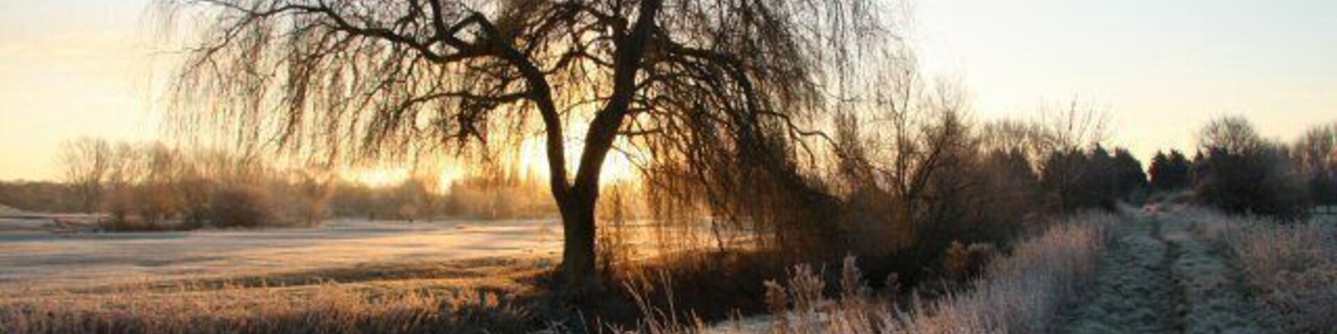 Frosty morning. The narrow, though formerly navigable, River Lark runs through the Suffolk Golf Course at Fornham St Genevieve. The footpath is part of the Lark Valley Path and St Edmunds Way.