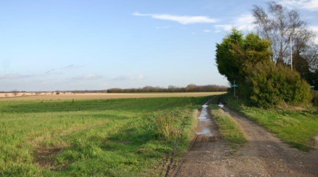 Farm track at West Row This council-owned farm track leads east from the village of West Row.